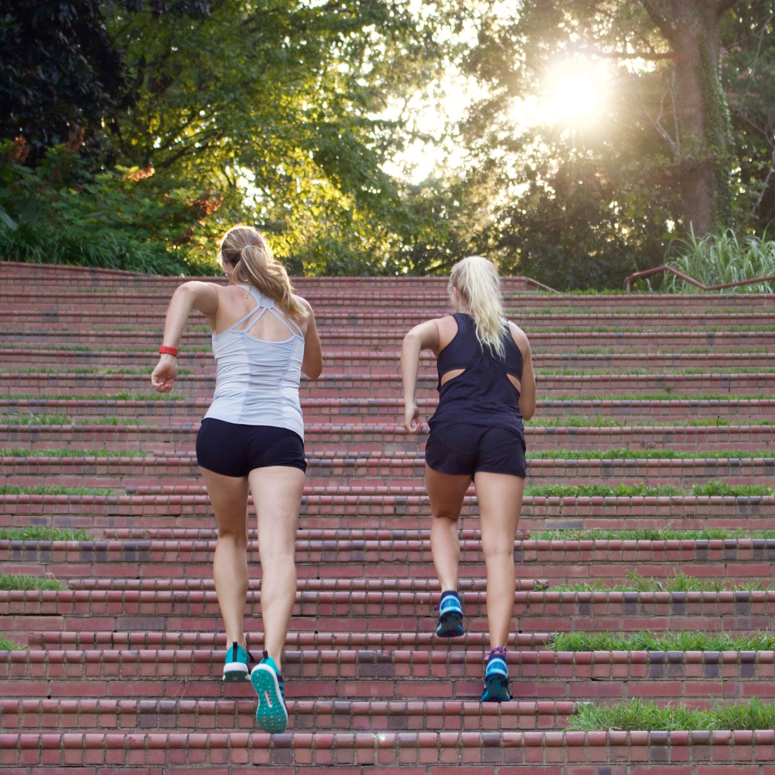 Stair+run+up.jpg
